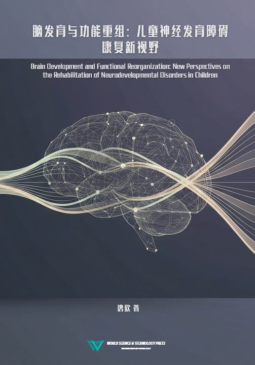 Brain Development and Functional Reorganization: New Perspectives on the Rehabilitation of Neurodevelopmental Disorders in Children